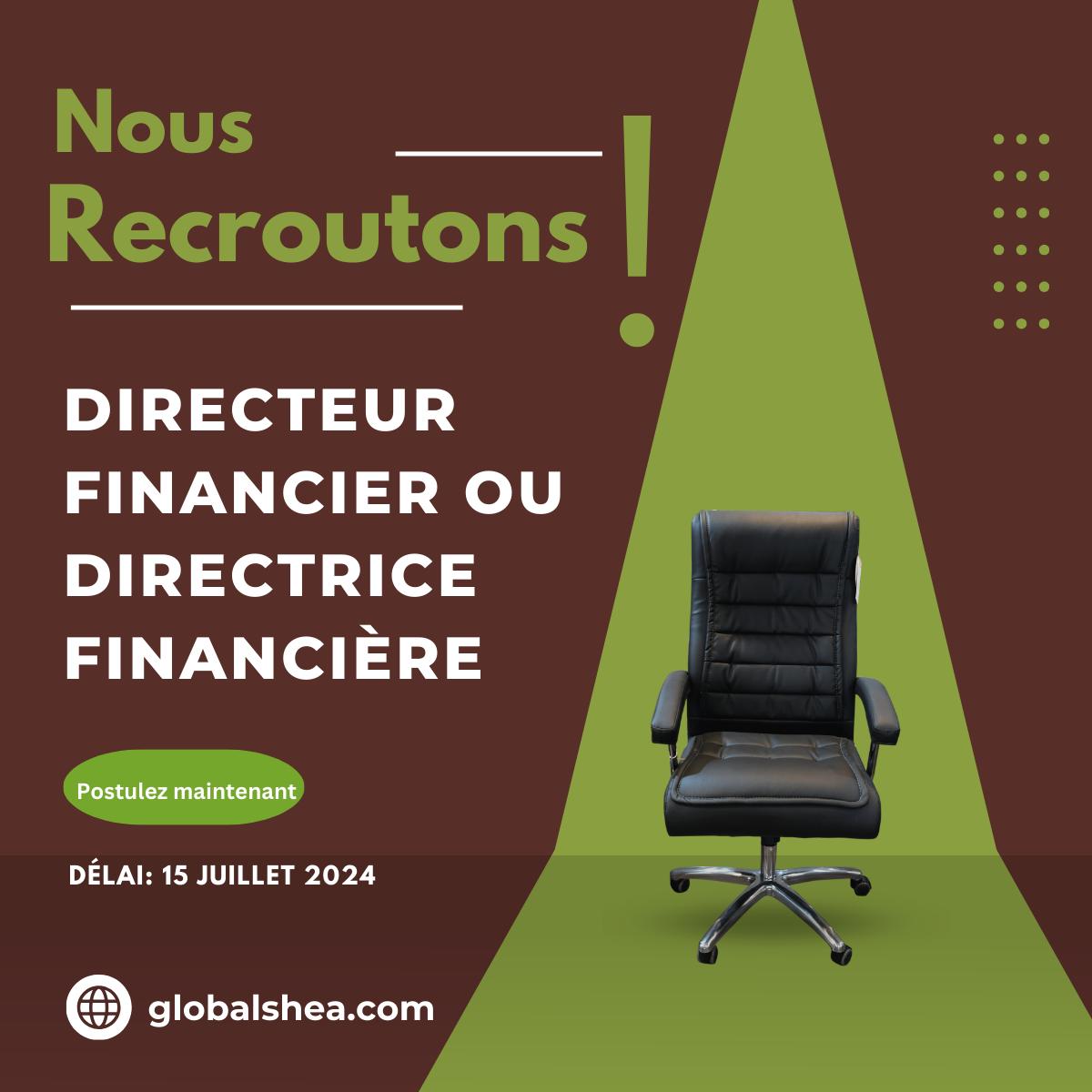 Directeur financier / Directrice financière